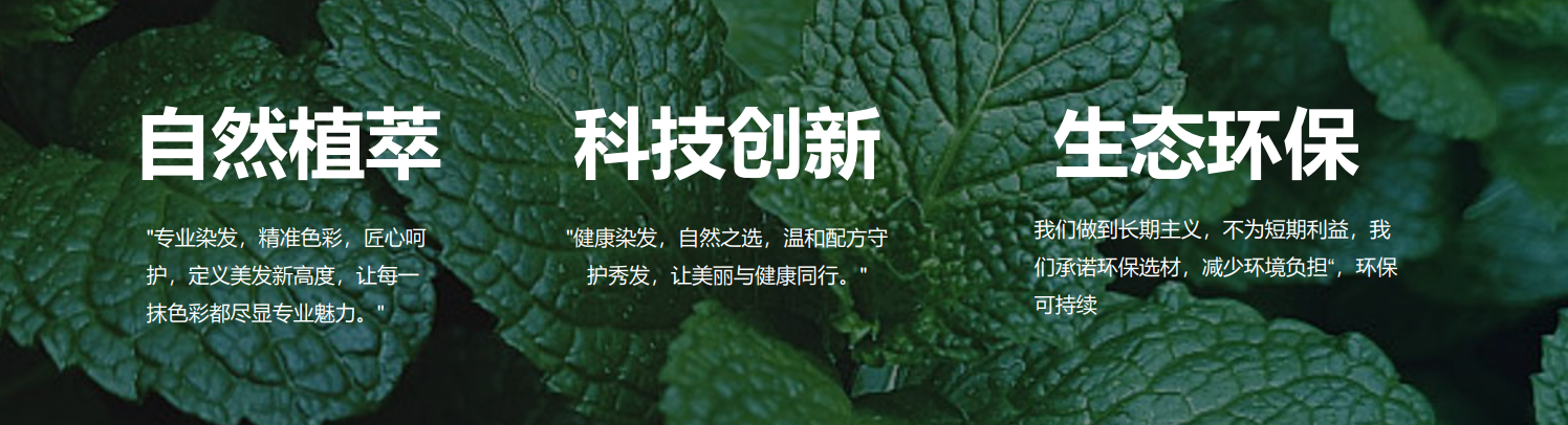 微信图片_20241217191752.png
