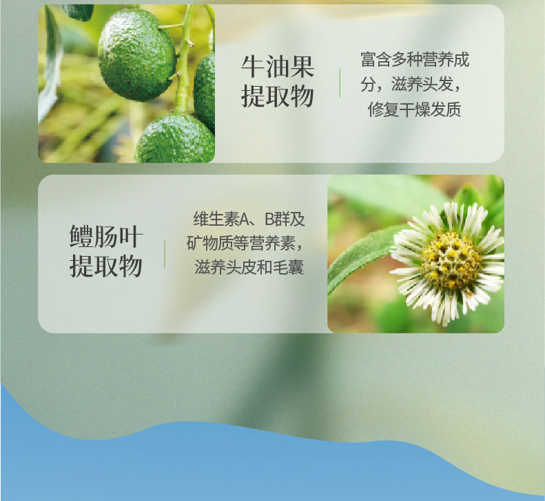 B系列_09.jpg